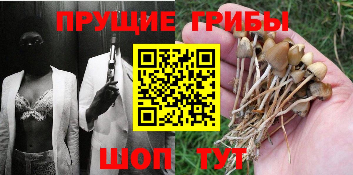 Прокопьевск  Псилоцибиновые грибы мицелий  Вход с VPN 