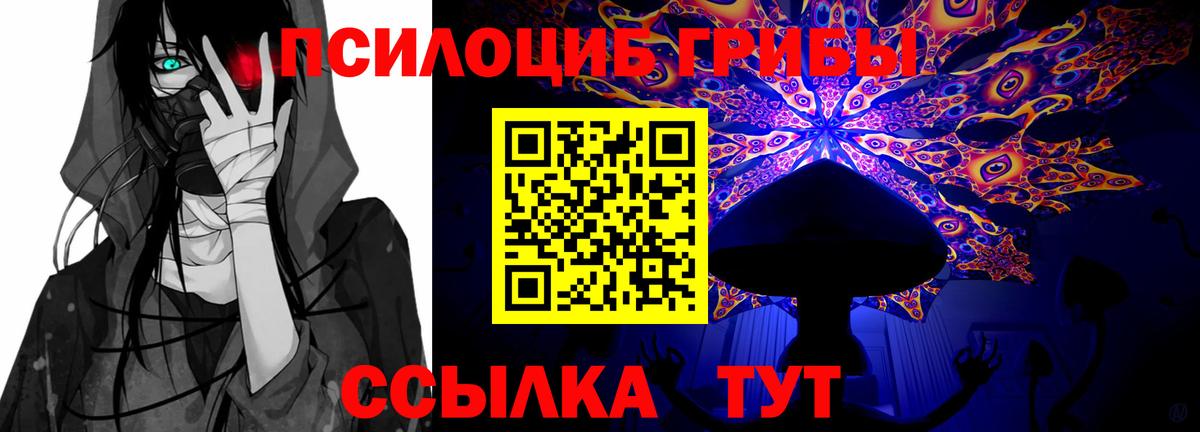 Псилоцибиновые грибы прущие грибы Прокопьевск